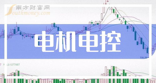 電機(jī)電控龍頭是哪幾家上市公司,注意了 2024 2 22