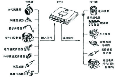 全屏顯示課程 章節