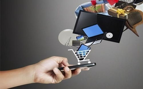 尊享V服務熱潮下的網絡購物監管與互聯網安全服務